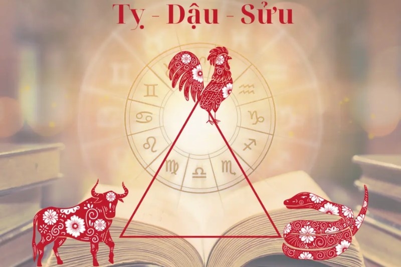 tam hợp là gì 6