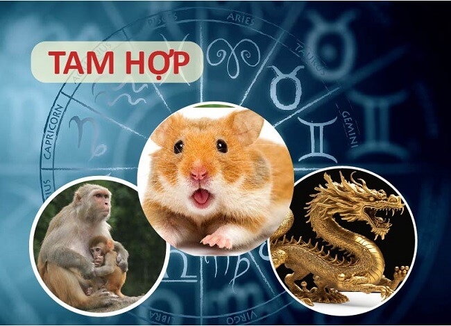 tam hợp tuổi thìn 1.jpg