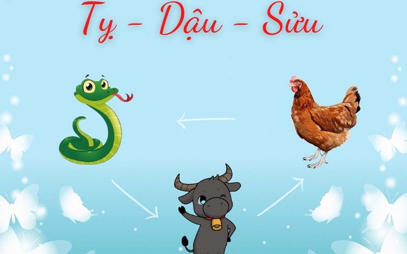 tam hợp tuổi tỵ 3