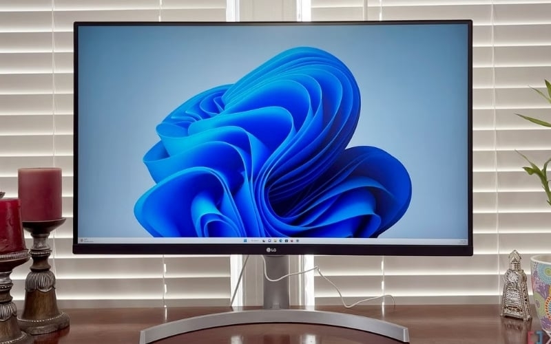 cac loai tam nen ips