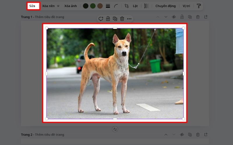 Cách tạo video AI miễn phí từ ảnh trên Canva