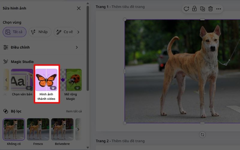 Cách tạo video AI miễn phí từ ảnh trên Canva