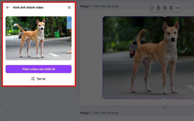 Cách tạo video AI miễn phí từ ảnh trên Canva