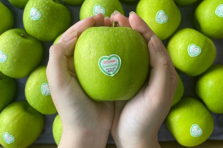 táo xanh Granny Smith 1