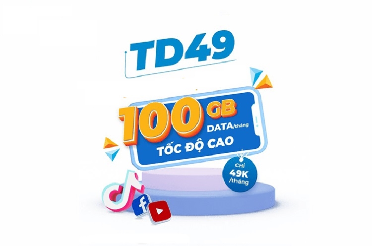 TD49 (Hình 1)