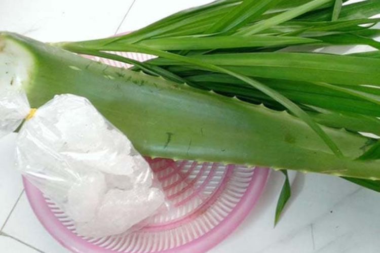thạch nha đam 2