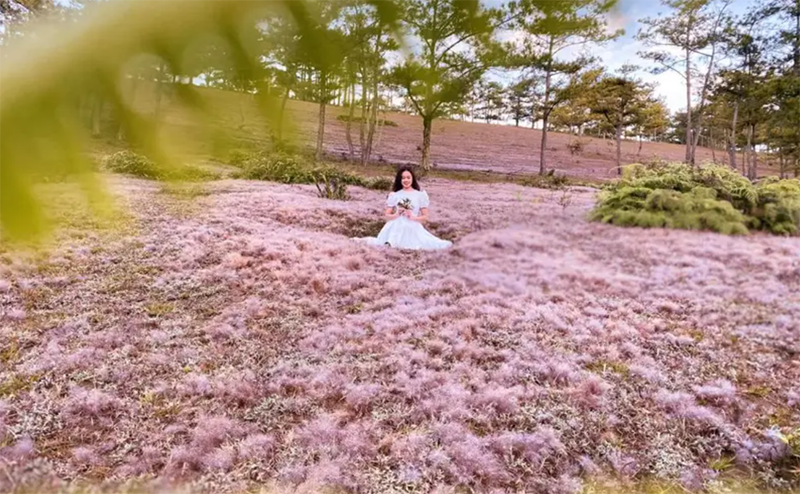 Tháng 10 du lịch ở đâu Việt Nam? (hình 10)