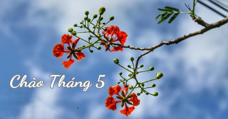 Lịch âm tháng 5 2026 2