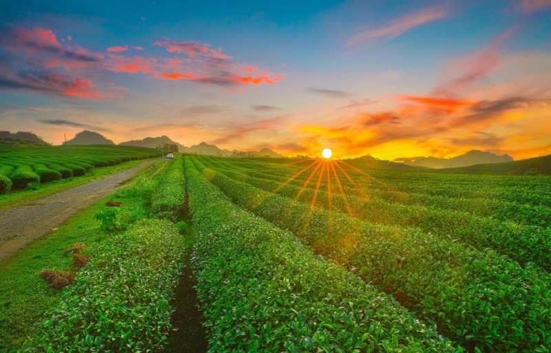 Tháng 8 đi đâu đẹp? (hình 4)