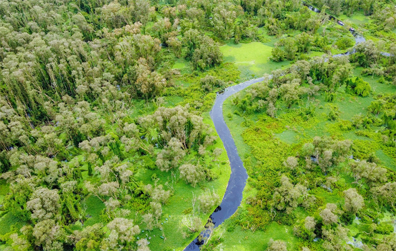 Tháng 9 du lịch ở đâu Việt Nam? (hình 16)