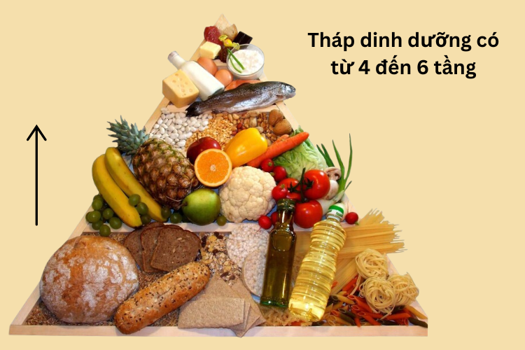 tháp dinh dưỡng 1