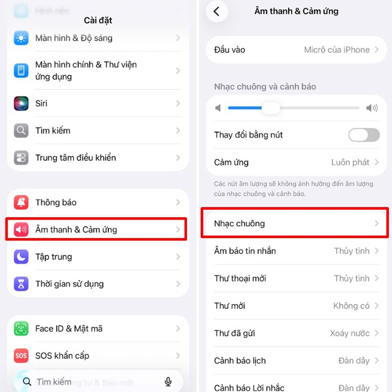 Thay đổi âm lượng và rung của iPhone - hình 3