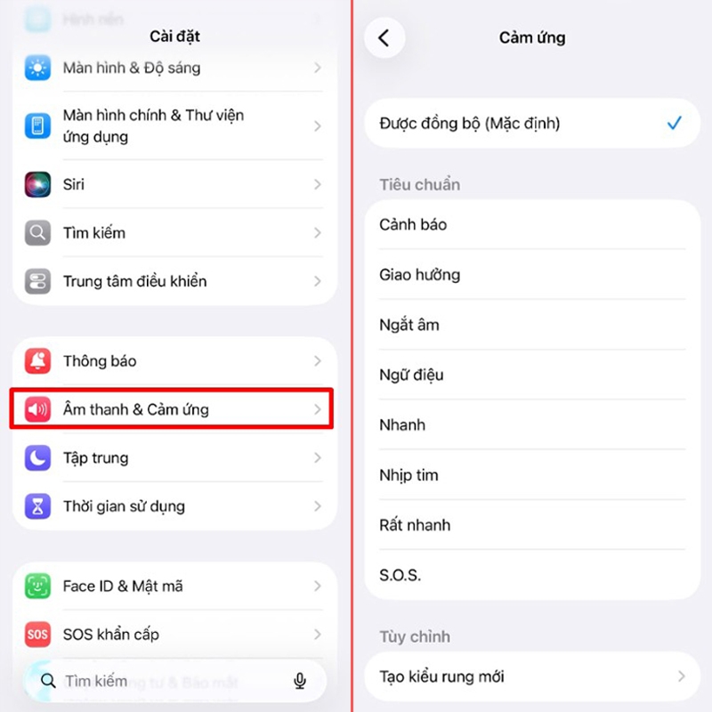 Thay đổi âm lượng và rung của iPhone - hình 4