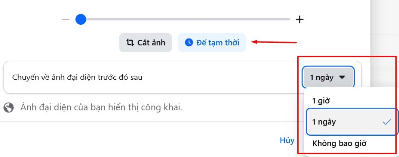 Thay đổi ảnh đại diện tạm thời trên Facebook - hình 9