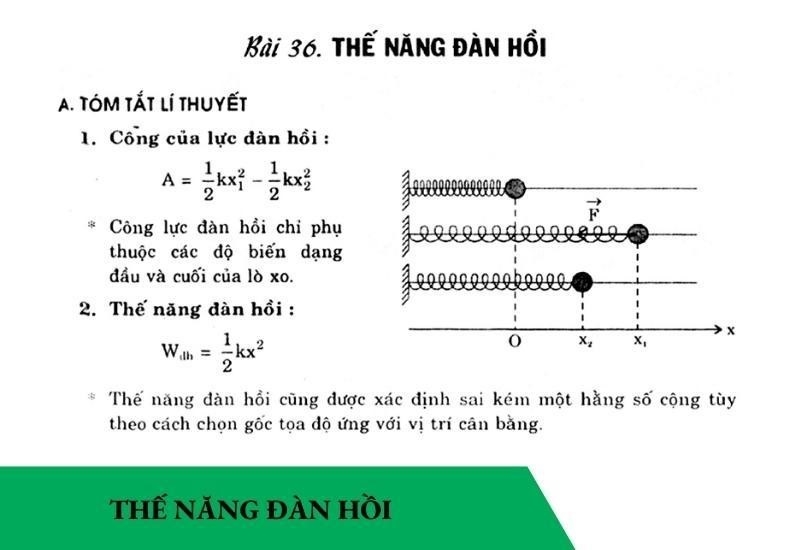 thế năng 5