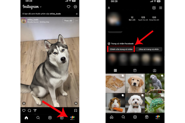 thêm danh xưng vào tiểu sử Instagram 1