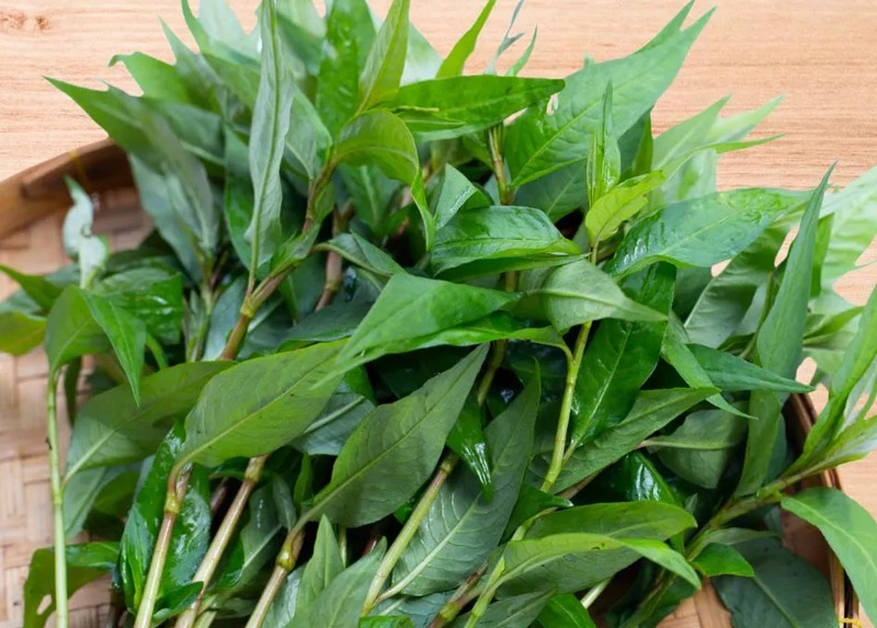 Thịt gà kỵ với rau gì? - hình 4