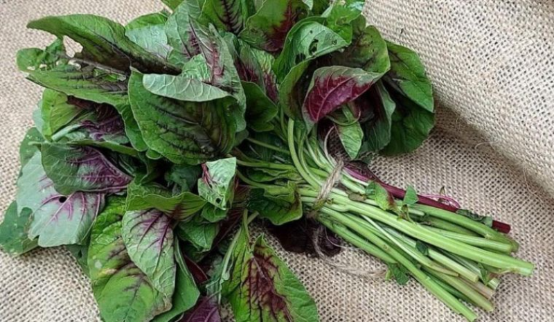 Thịt gà kỵ với rau gì? - hình 8