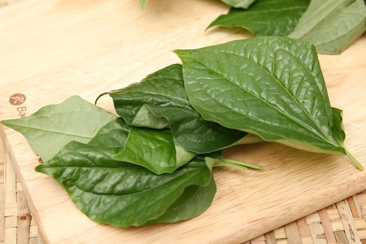 thịt nai xào lá lốt-9.jpg