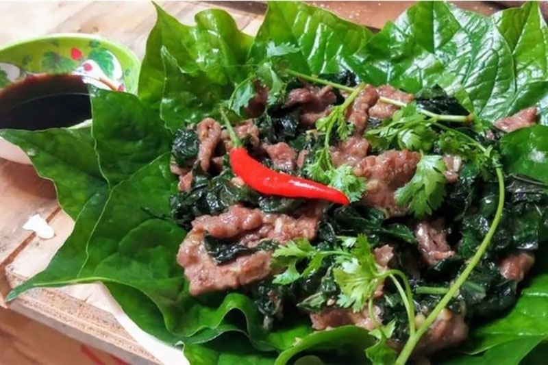 Thịt ngựa xào với gì ngon (hình 9)