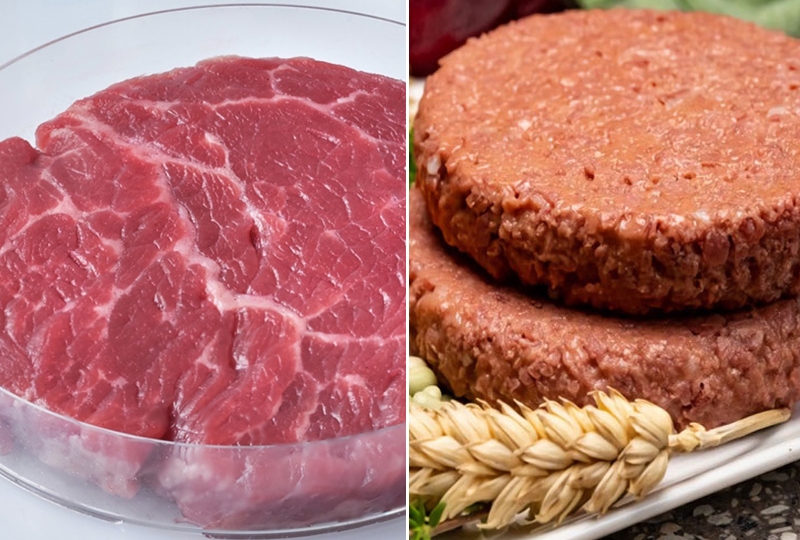 Thịt nhân tạo khác thịt thực vật.