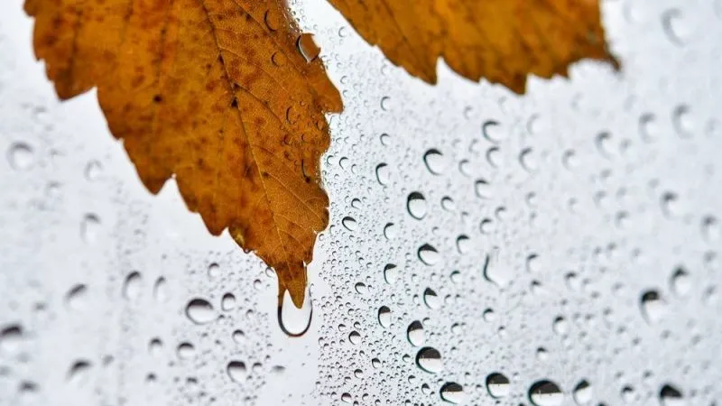 bai tho ve mua dac sac