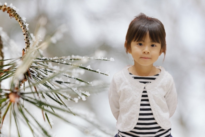 thơ về mùa đông 1