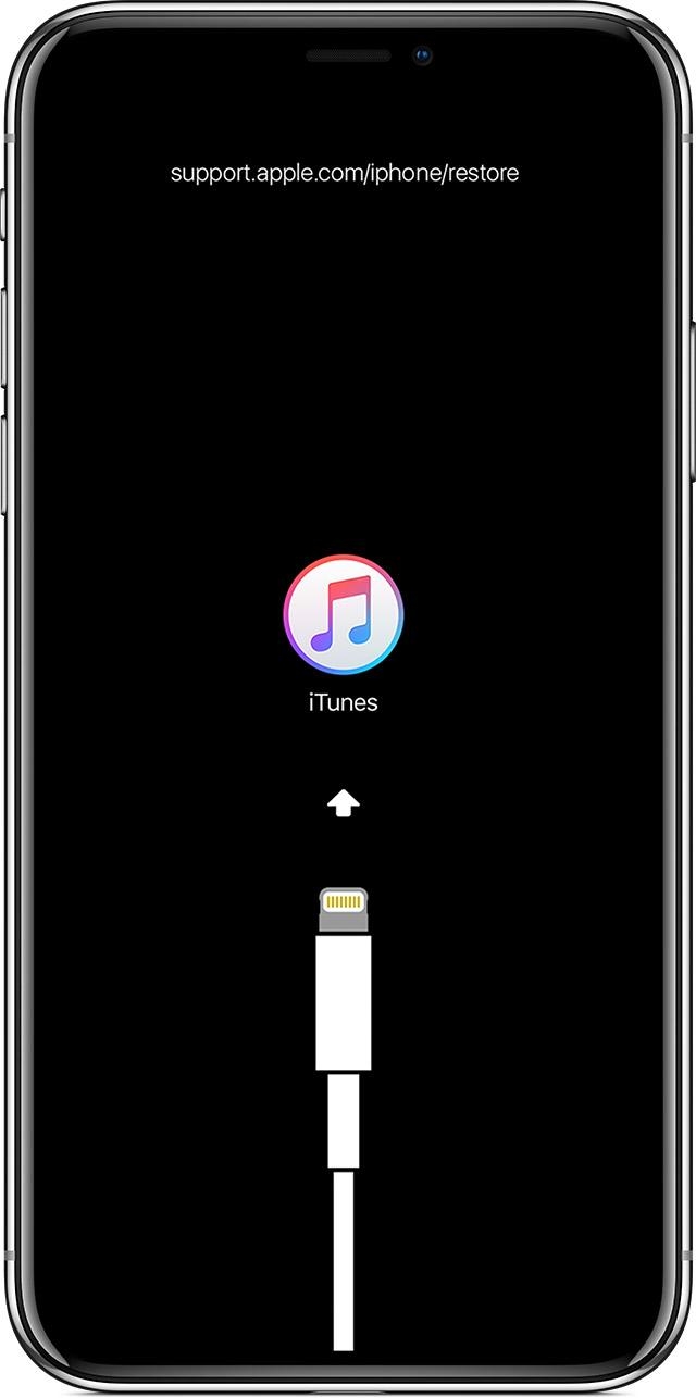 cách cài đặt lại iPhone bằng iTunes - Hình 9