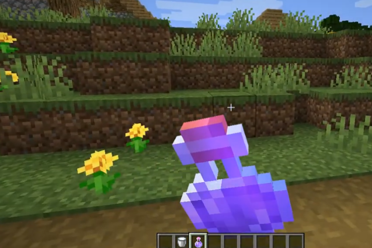Thuốc tàng hình trong Minecraft 1