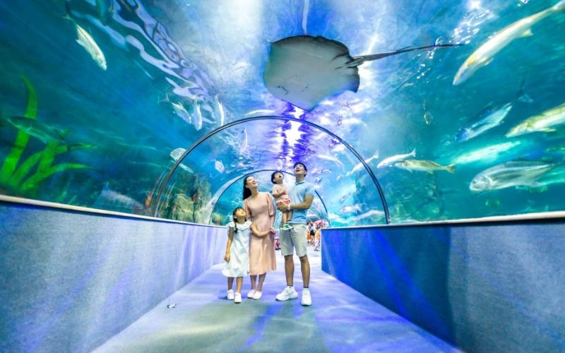 Thủy cung Vinpearl Aquarium Times City
