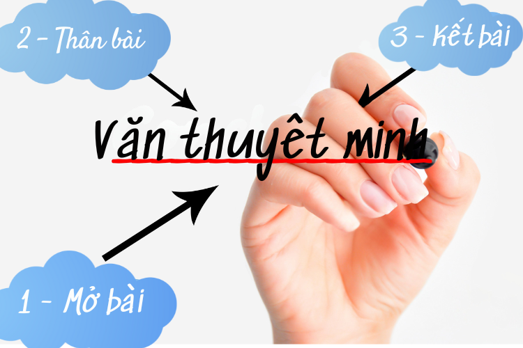 Thuyết minh (ảnh 2)