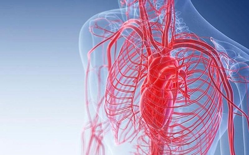 Tia hồng ngoại xa giúp cải thiện lưu thông máu