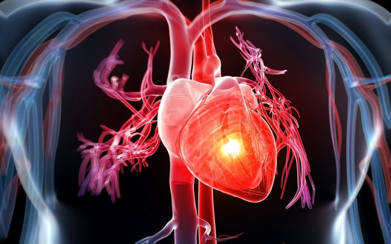 Tia hồng ngoại xa giúp tăng cường hệ thống tim mạch