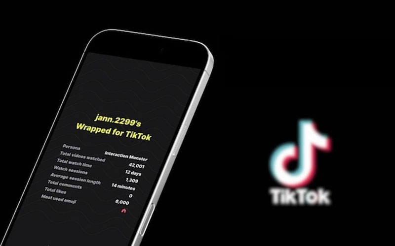 TikTok Wrapped là gì? (hình 3)