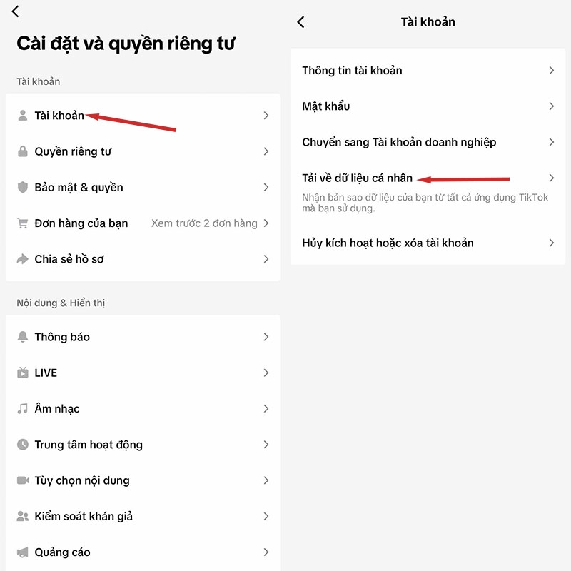 TikTok Wrapped là gì? (hình 5)