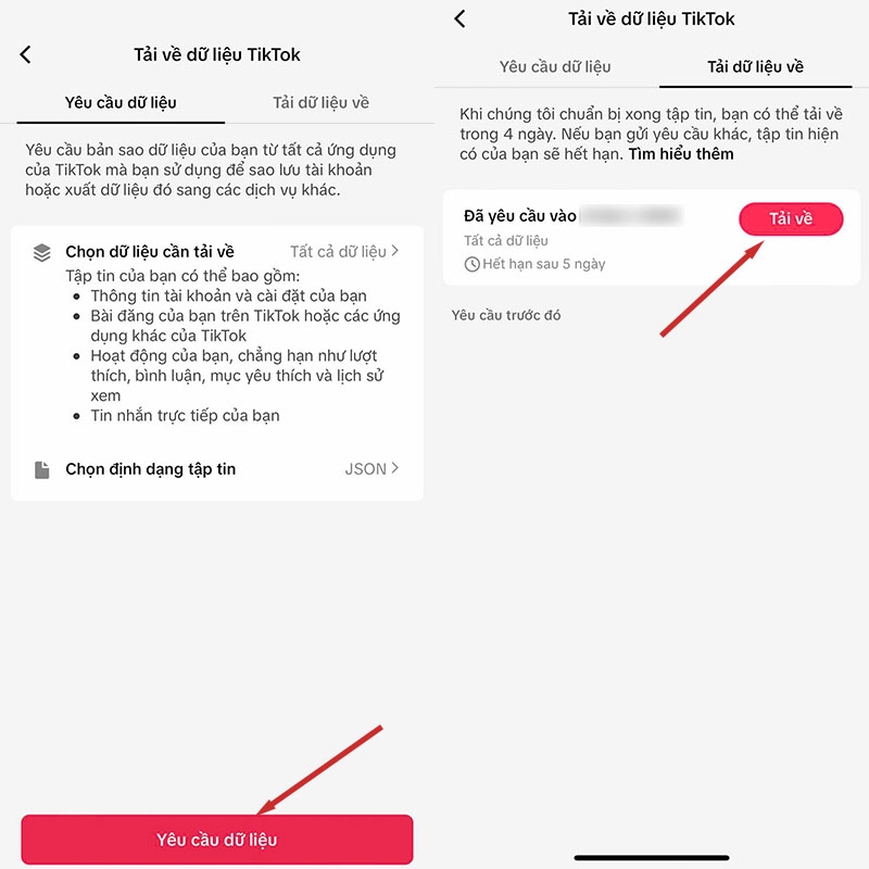 TikTok Wrapped là gì? (hình 7)