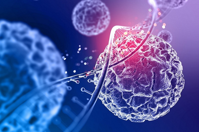 Tinh dầu trầm hương ảnh 4