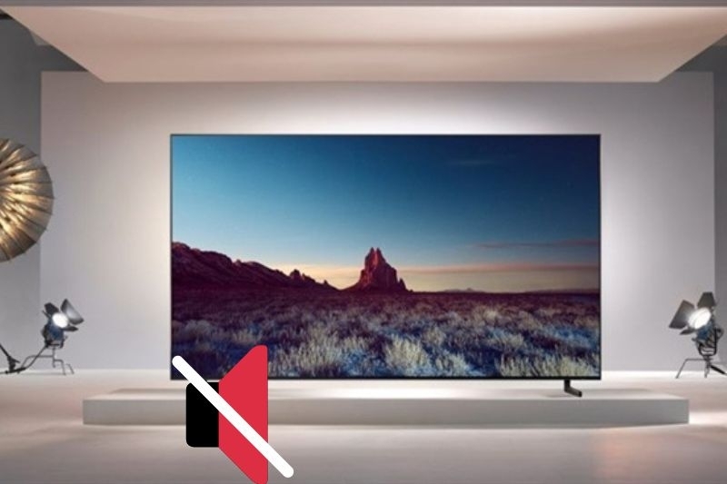 tivi Asanzo bị mất tiếng hình 3