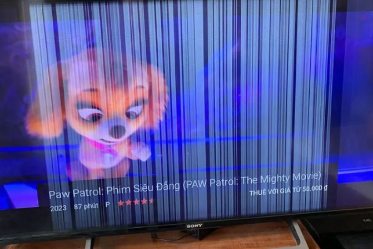 Tivi bị sọc trắng đen hình 4