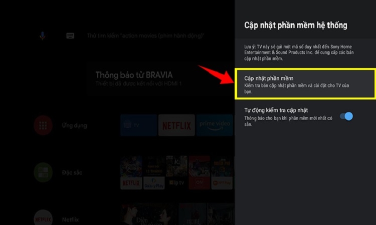 Tivi Sony bị sọc mờ màn hình (Hình 4)