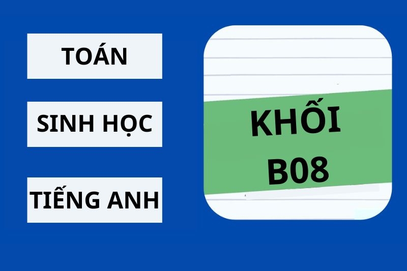 Toán Sinh Anh là khối gì ảnh 1