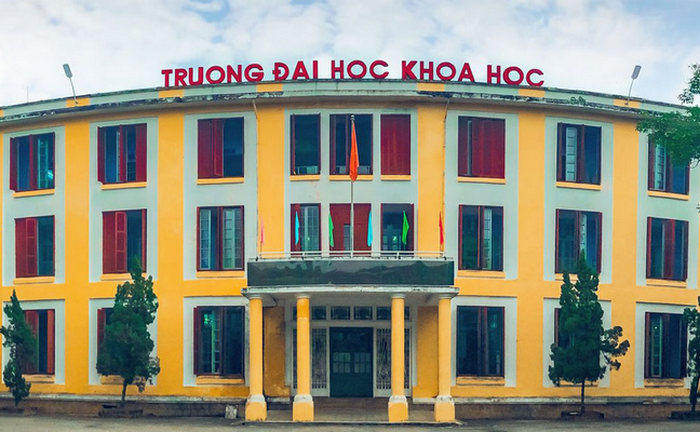 Toán Văn Lý xét được ngành gì 6