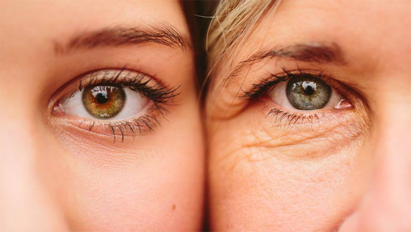 Tôm bạc (hình 3)