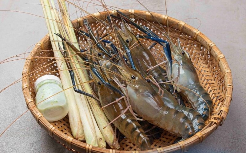 Bạn có biết tôm càng sen là gì không?