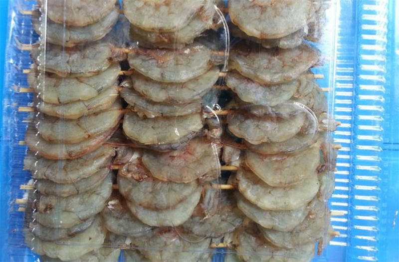 tôm lụi (hình 3)