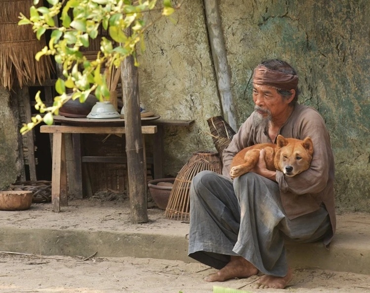 tóm tắt văn bản lão hạc 2