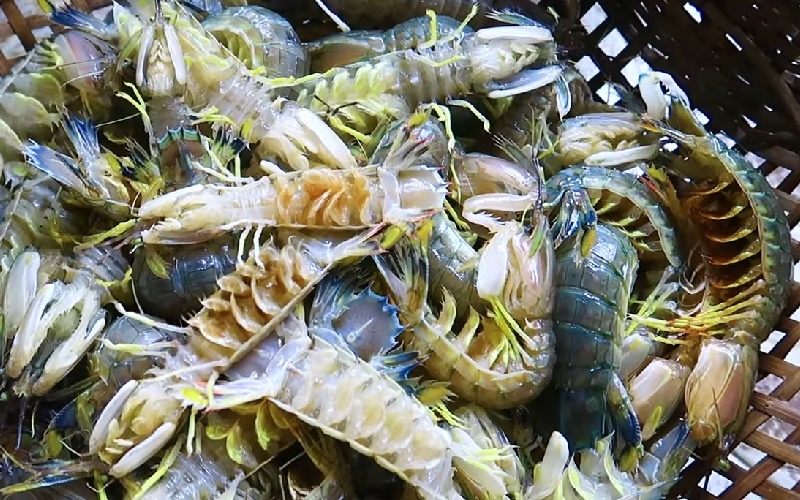 tôm tít chiên xù sốt me 2