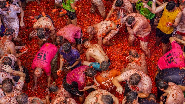 tomatina-la-gi-5.png