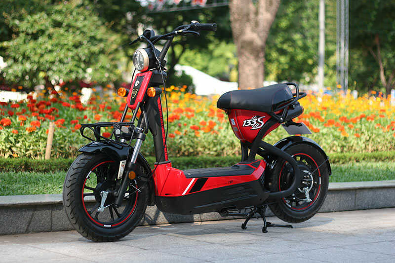 Tổng hợp các hãng xe đạp điện (hình 5)