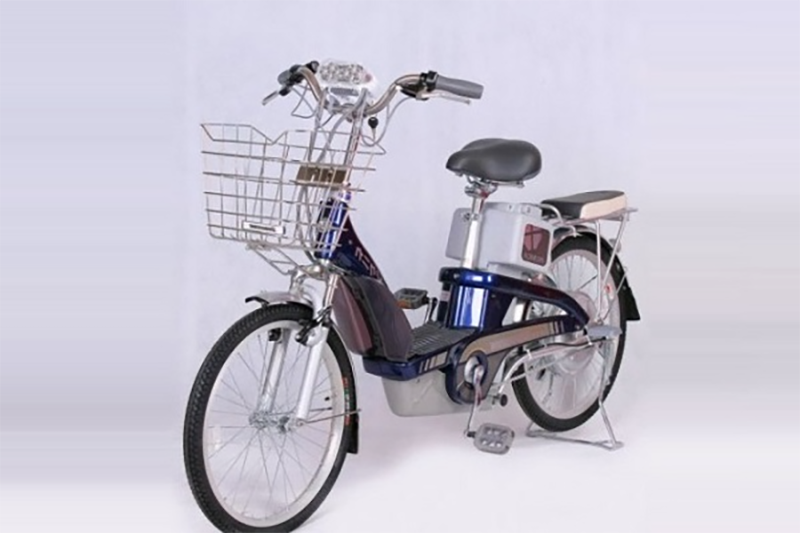 Tổng hợp các hãng xe đạp điện (hình 9)